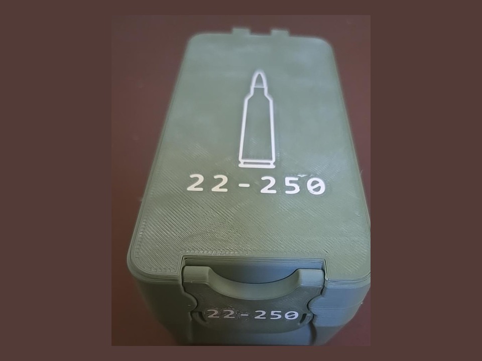 BRT .22-250 Rem ammunition box